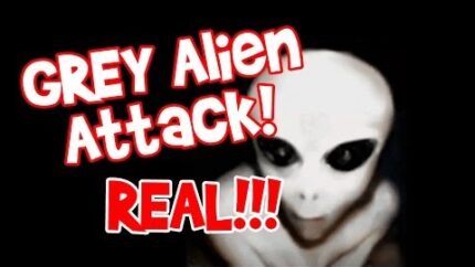 Grey Alien Attack – Real