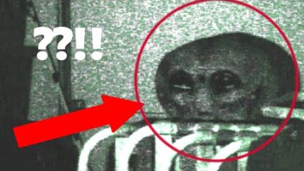 Real Grey Alien Caught on Tape in my Garage