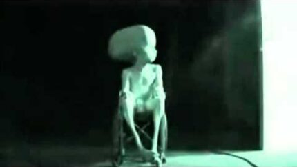 Alien Captured by NASA full video