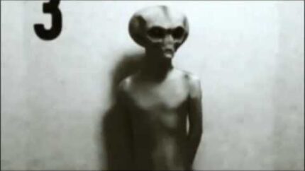 Real Grey Alien Footage Caught On Tape