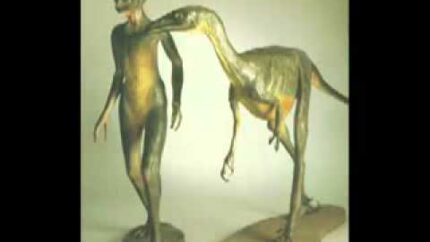 Alien races part 4 Pleiadian Andromedan Draconian Grey Human Terran Reptillian Insect Hybrid Ancient   YouTube