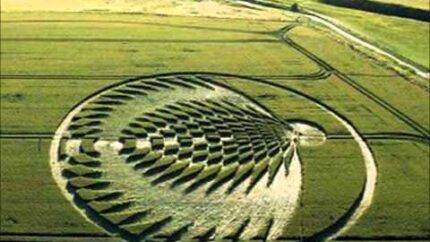 What on Earth? Inside the Crop Circle Mystery with Suzanne Taylor