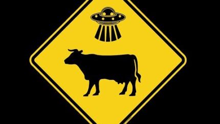 AREA 51 ABDUCTED MUTILATED COWS!