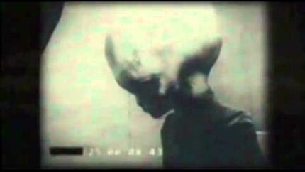 Grey Alien Filmed By KGB