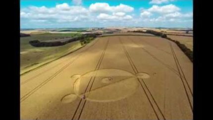 Latest crop circles from UK – August 2014