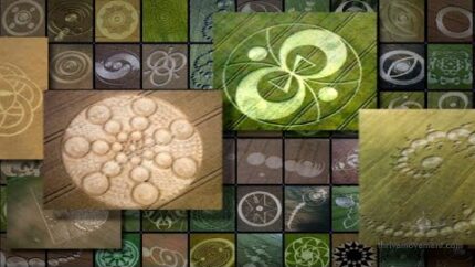 Crop Circles — Messages in the Fields