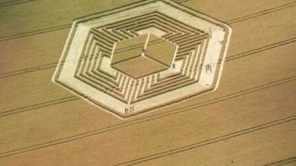 Dr. Steven Greer : The Enigma of Crop Circles