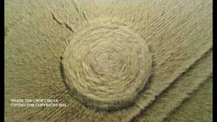 Latest crop circles from UK –  August 2014