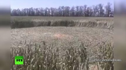 Mysterious crop circles appear in southern Russia