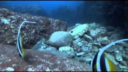 Ancient Aliens — Where was Atlantis- — History.com Videos.flv
