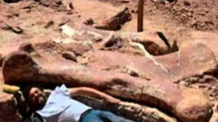Fossilized bones of huge 100 ton dinosaur found in Argentina