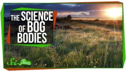 Chemistry & Corpses: The Science of Bog Bodies