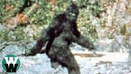 20 Most Convincing Bigfoot Sightings of All Time