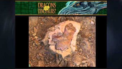 Dragons or Dinosaurs? – Darek Isaacs (part 1)