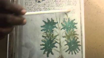 Voynich Manuscript Decoded By Gerone Wright