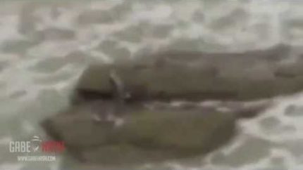 MERMAID RECORDED IN ISRAEL? MAY 29, 2013 (EXPLAINED)