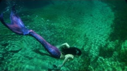Real Mermaids Swimming Together!