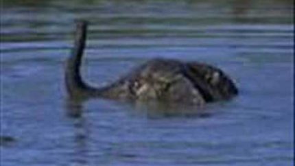 NEW LOCHNESS MONSTER FOOTAGE! 8/17/08