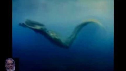 Amazing real mermaids of mako island found exposed
