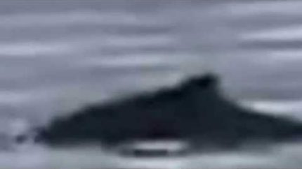 Real Life Myths and Legends-Latest Loch Ness Monster sighting caught on tape! [HD]