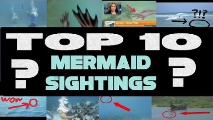 Top 10 Mermaid Sightings caught on Tape 2014 (Real Mermaids)