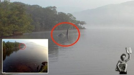 Is this the Loch Ness monster? Creature photographed in lake