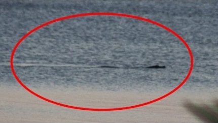 THE BEST AND LAST NESSIE VIDEO – THE LOCH NESS MONSTER