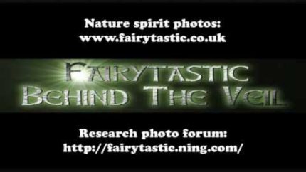 Fairies, Real Fairy Photos, Nature Spirit Photography, Elemental Beings, Real Gnomes & Faeries
