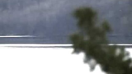 faces of death loch ness monster nessie real footage