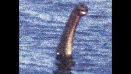 Is it real : The Loch ness monster