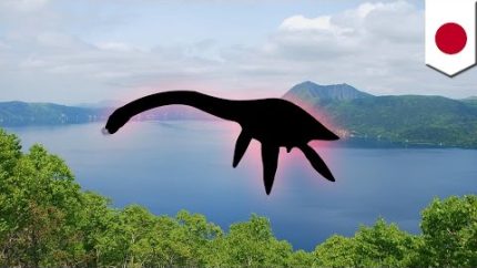 Loch Ness Lake Monsters: Research team discovered tracks of unidentified lake animal – TomoNews