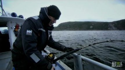 Legend of Loch Ness – How to Catch a Greenland Shark | River Monsters