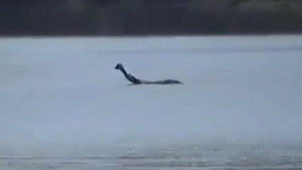 Loch Ness Monster found in Australian Waters