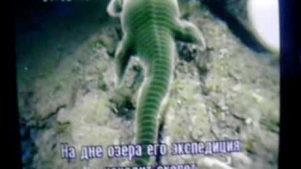 Loch Ness Monster found dead?