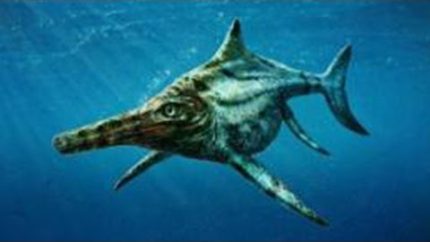 Loch Ness Monster’s Cousin Discovered – Shocking Story