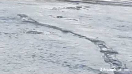 Iceland’s ‘Loch Ness’ monster spotted?