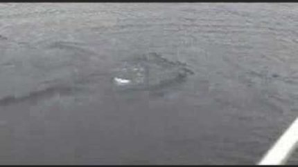 more amateur lochness monster footage