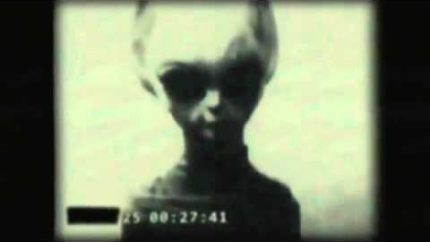 Wikileaks Video Of Roswell Grey Alien