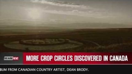 More Crop Circles Discovered in Canada