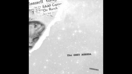 The Grey Agenda – Alien Advisor