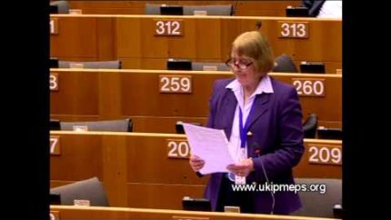Reinforcing failure with global warming myth – Julia Reid MEP
