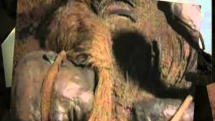 Video Penampakan the bog bodies yang Bikin Geger Dunia Maya!