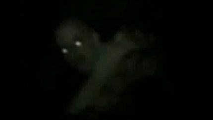 Top 5 Scariest Supernatural Clips Pt 2 (Ghosts Attack, Skunk Ape, Invisible Soldier, Bigfoot)