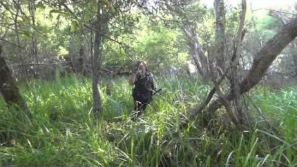 Evening Hike – Bigfoot Sighting Investigation