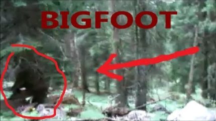 Slovenian BIGFOOT accidentally caught on tape – Rare Sighting & Real Proof 2015