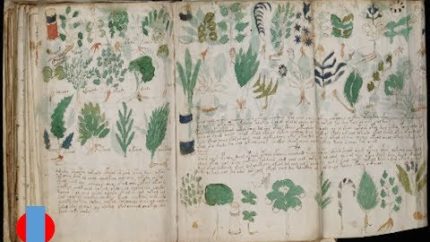 What is the Meaning of The Voynich Manuscript ?