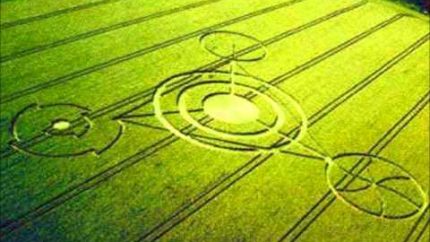 Crop Circles with Suzanne Taylor