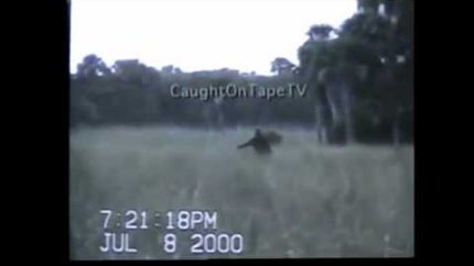 Florida skunk ape video stabilized