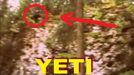 YETI in the Woods – Tibet 1973, accidentally filmed by my dad – PART 1