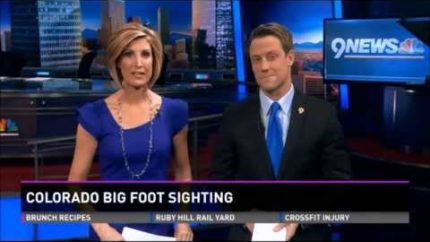 Woman Spots Bigfoot In Colorado Very Credible Incident – 1-20-14